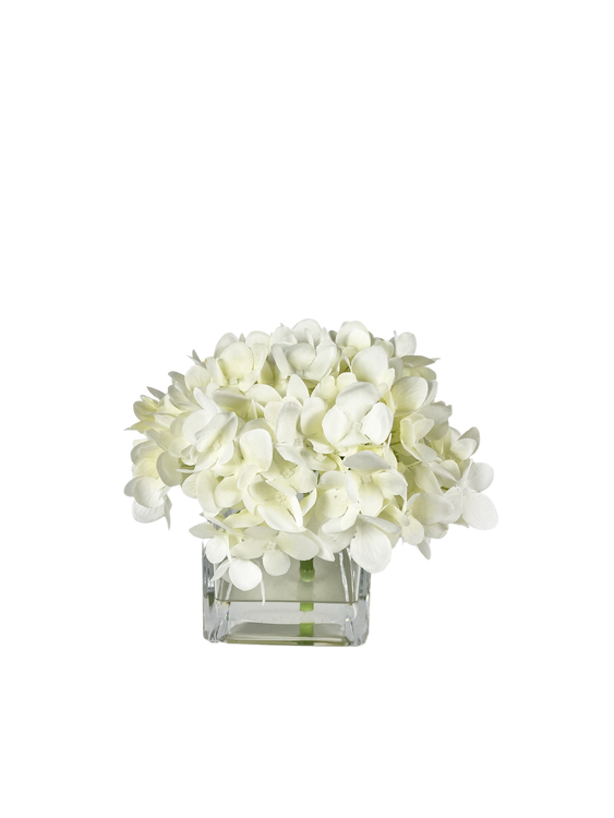 Cut Hydrangea in Glass Vase