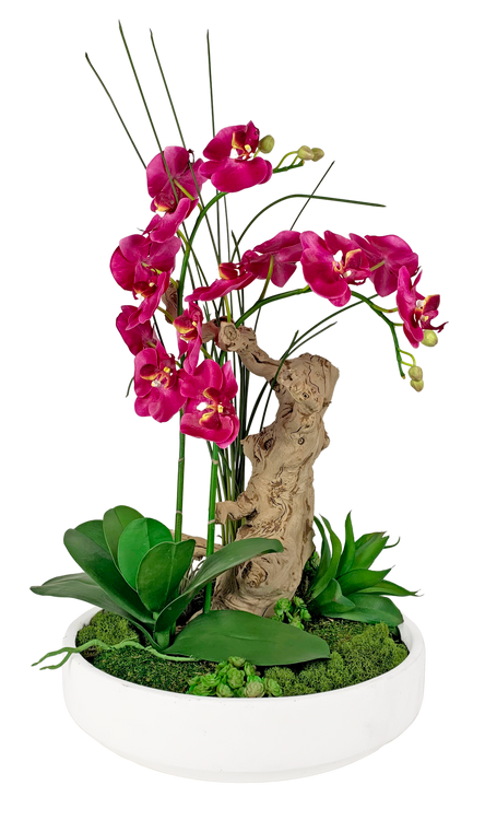 Fuchsia Orchid Design