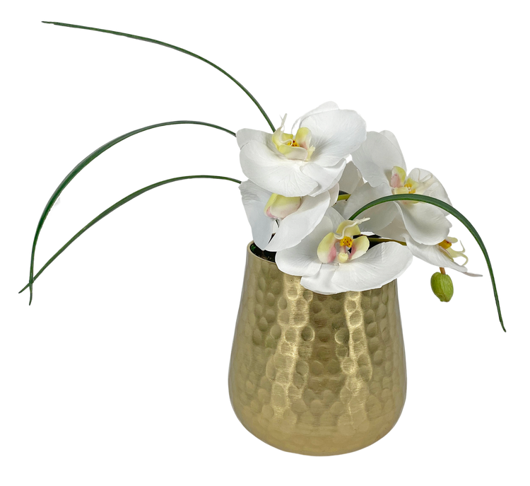 Small White Orchid in Gold Container