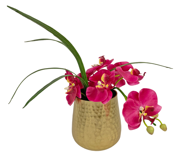 Fuchsia Orchid in Gold Container