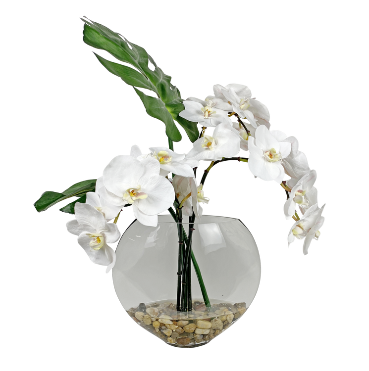 Monstera Leaf and White Orchid in Glass Vase