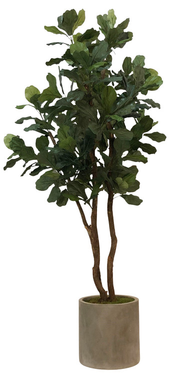 Transform your living or working space into a haven of tranquility and style with our Eight-Foot Tall Replica Fiddle Fig Tree. Immerse yourself in the beauty of nature without the hassle, and let this stunning botanical masterpiece become the centerpiece of your interior design.