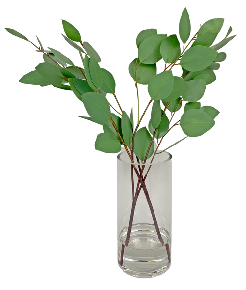 Eucalyptus in Glass BubbleFaux Greenery Watergarden, 25