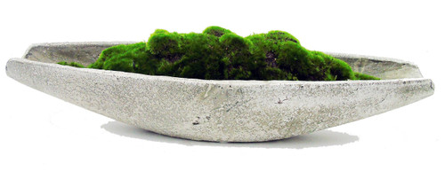 Newport Concrete Moss Bowl