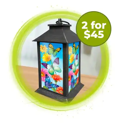 deal-s24-lanterns.png