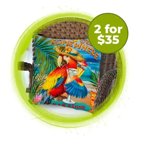 deal-s24-pillows_11zon_11zon