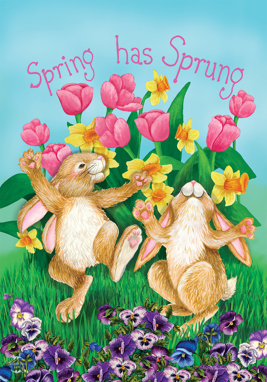 Spring Has Sprung Rabbits House Flag - Briarwood Lane