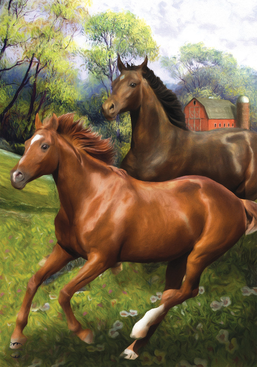 Bandiera Da Giardino Briarwood Lane Con Gnomo E Uccelli Motivo Floreale 28 X 40 Cm~p113117905 - Foto 6