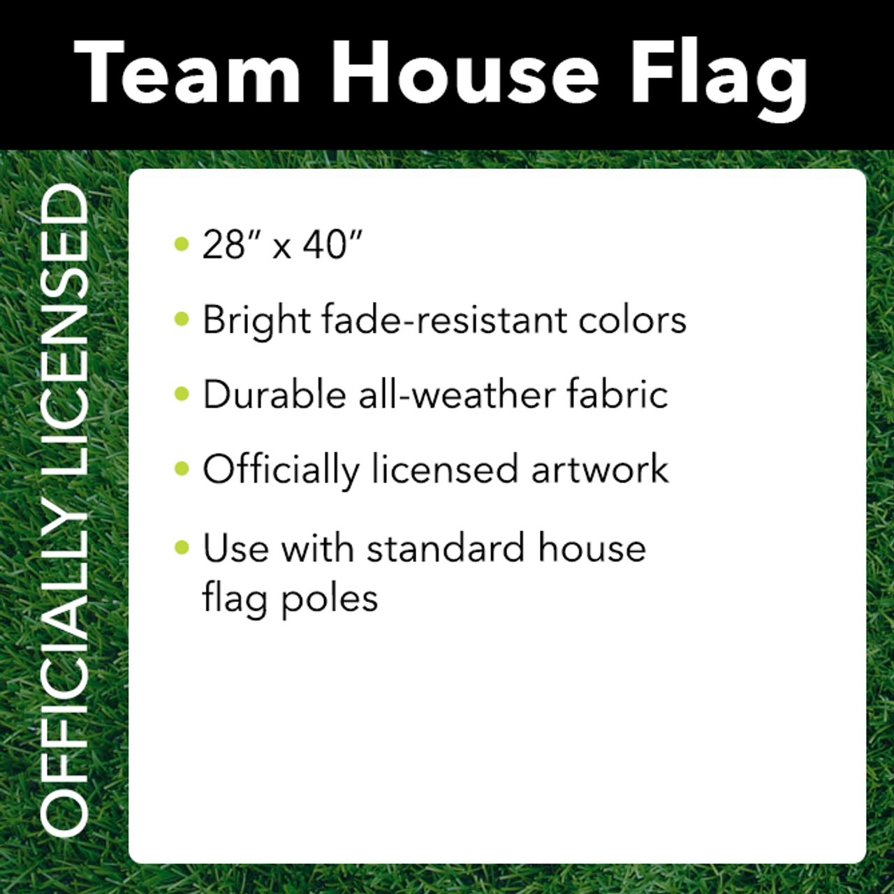 Team Sports America 2.3-ft W x 3.6-ft H Philadelphia Eagles House Flag at