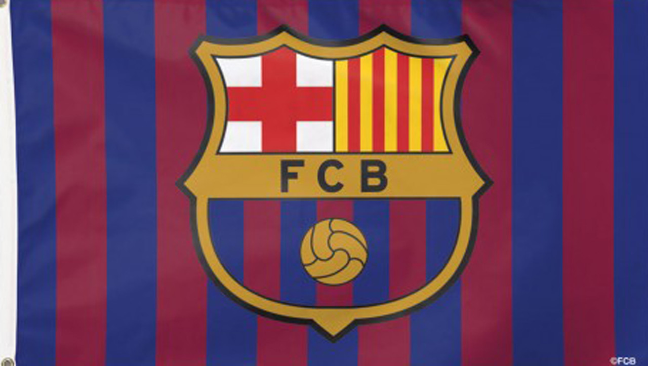 12x18 12"x18" Unione Europea Manica Bandiera AUTO BARCA GIARDINO - Foto 4