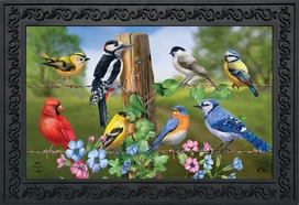 Briarwood Lane Country Birds Spring Doormat with colorful birds, flowers, and blue background outdoor decor.