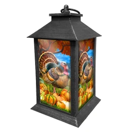 Briarwood Lane Turkey and Pumpkins Lantern with black metal frame and colorful fall design elements.