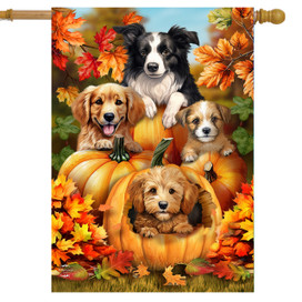 Gartenflagge Spoiled Pup Aus Jute – 45,7x31,8 Cm, Doppelseitig, Für Hundeliebhaber