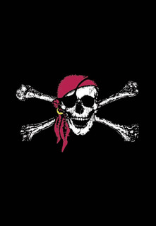 Red Bandana Summer Garden Flag