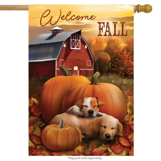 Briarwood Lane Welcome Fall Puppies House Flag with colorful dogs, pumpkins, and barn on small printed fabric.
