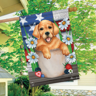 American Lab Patriotic House Flag
