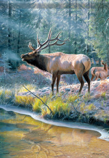 Elk Reflection Wildlife House Flag