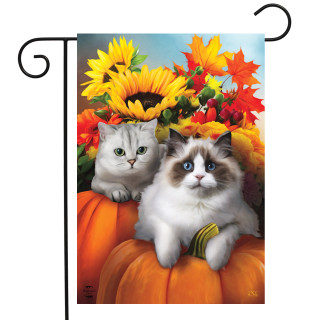 Briarwood Lane Fall Cats Floral Garden Flag with colorful kittens and autumn flowers on a pumpkin.
