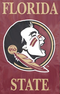 Florida State Applique Banner Florida State Applique Banner