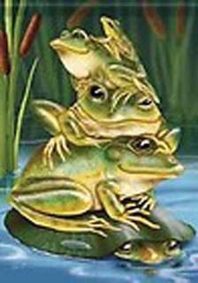Frog Stack Humorous Summer House Flag