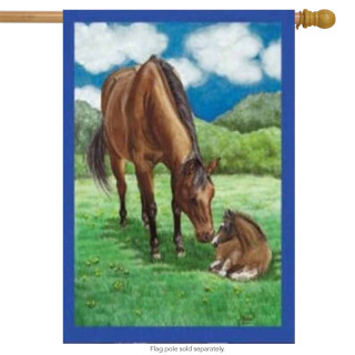 Horses Field Decorative House Flag