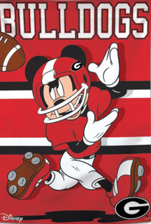 University of Georgia Bulldogs NCAA Mickey Mouse House Flag