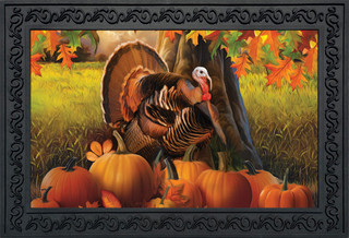 Harvest Turkey Fall Doormat