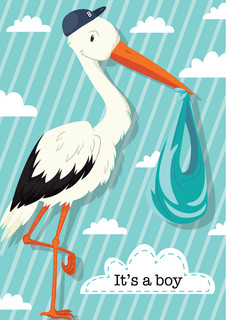 It's A Boy Stork Baby Garden Flag