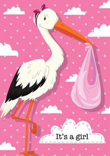 It's A Girl Stork Baby Garden Flag