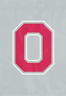 Ohio State University Buckeyes Applique Garden Flag