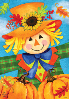Harvest Celebration Scarecrow Fall House Flag