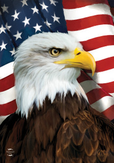 Briarwood Lane American Eagle Patriotic Garden Flag with stars and stripes, red, white, and blue colors.