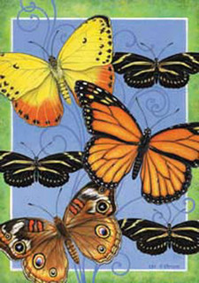 Butterflies Flight Spring House Flag