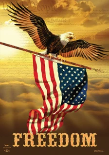 Briarwood Lane patriotic garden flag with eagle and American flag, red, white, and blue colors.