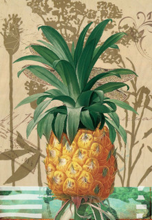 Pineapple Everyday House Flag
