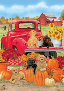 Fall Puppies House Flag
