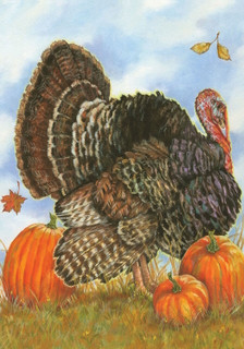 Autumn Turkey Garden Flag