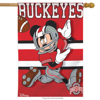Ohio State University Buckeyes NCAA Mickey Mouse House Flag