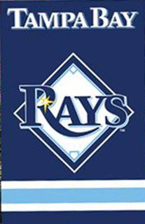 Tampa Bay Rays Applique Embroidered Banner Flag MLB