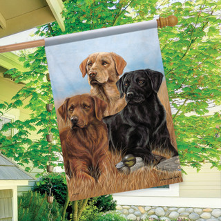 The Pros Lab House Flag