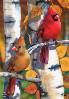 Briarwood Lane printed garden flag with colorful cardinals on birch trees in autumn.