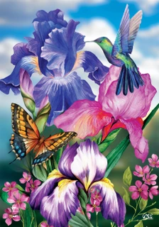 Briarwood Lane colorful spring garden flag with vibrant irises, hummingbird, and butterfly design for porch display.
