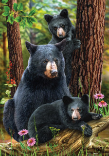 Briarwood Lane Black Bear Family garden flag with colorful spring design for porch or yard display.