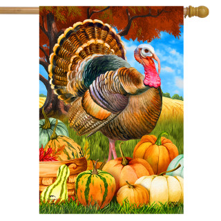 Briarwood Lane small printed Turkey And Pumpkins Fall House Flag with colorful autumn harvest display.