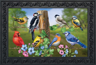 Briarwood Lane Country Birds Spring Doormat with colorful birds, flowers, and blue background outdoor decor.