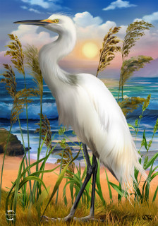 Egret Summer Garden Flag Beach