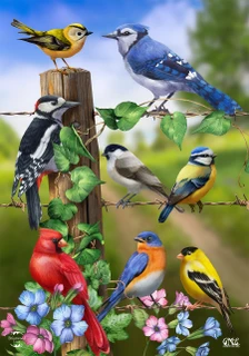 Briarwood Lane Country Birds Spring Garden Flag with colorful birds, flowers, and blue jay on fence.
