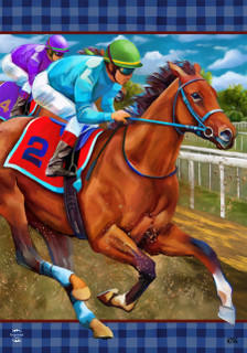 Briarwood Lane horse racing flag with jockey and thoroughbred on racetrack colorful spring display.
