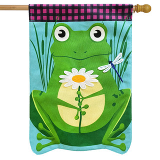 Briarwood Lane green frog house flag with daisy and dragonfly, colorful summer seasonal decorative yard display.