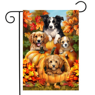 Briarwood Lane Fall Pumpkin Puppies Garden Flag with autumn leaves and four adorable puppies.